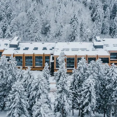 Ski-In/Ski-Out Apartment In Bakuriani Exterior photo