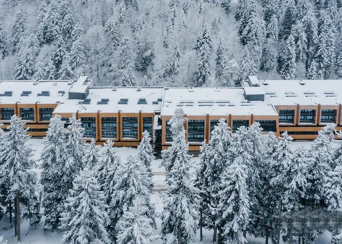 Ski-In/Ski-Out Apartment In Bakuriani